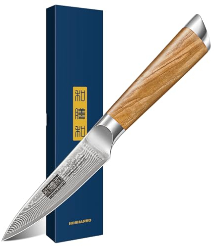HOSHANHO Paring Knife 3.75 Inch, Professional 67 Layers Damascus Super Steel Small Fruit Knife Hand Forged Japanese Paring Knife