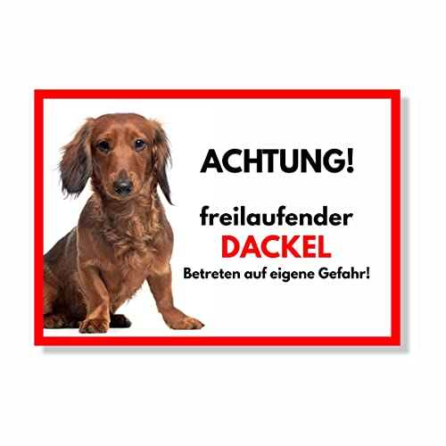 Dackel Langhaar Freilaufender Hund Dog Schild Spruch Türschild Hundeschild Warnschild Geschenkidee Sicherheitsschild Hund Privatgrundstück Hundewarnung Warnung vor dem Hund
