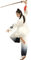 KSUA Unisex-Kung-Fu-Kampfsport-Uniform, Seide, Leinen, lange Ärmel, Tai Chi, Kleidung für Übungen, Qi Gong, Kung Fu Wung Chun, Damen, XXL