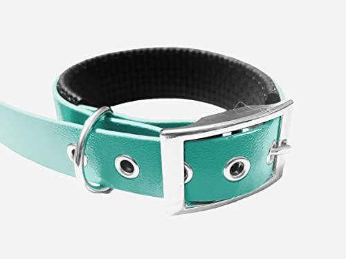 Hundehalsband aus gepolstertem BioThane-Material, mittlere Breite, Farben zur Auswahl (Halsumfang: 40 – 45 cm, Teal)