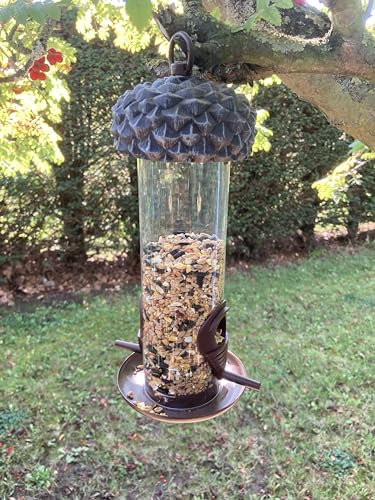 Oakdale Acorn Seed Bird Feeder