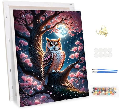 MEIYUDA Peinture par Numero Adulte avec Cadre Hibou, Animaux DIY Peinture Acrylique pour Adultes Débutants, Facile sur Toile Avec Peintures et Pinceaux Decoration Maison Cadeau 30x40cm