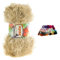 Fransen-Strickgarn Yumos 140m/100g Fancy Garn Strickwolle 40 Farben, Farbe:2199 hellbeige
