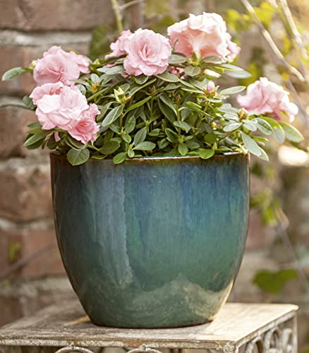 Dekoleidenschaft Übertopf Petrol Ø 23 cm, aus Terracotta, glasiert mit Hochglanz Finish, Blumentopf, Pflanztopf, Blumenüberopf