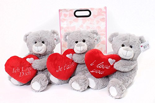 I LOVE FANCY DRESS - Soft Plush Teddy Bear Holding Love Heart With 'Ich Liebe Dich' Embroidery + Pink 'With Love' Gift Bag - Adults Valentines Day Gift