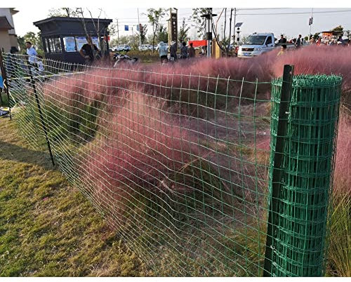 GZHERVICES Grüne Maschendraht-Gartenzaunrolle, PVC-beschichteter Dekorativer Zaun Aus Stahl, Strapazierfähige Gartenzaun-Grenze Für Rasen, Kaninchen, Hühner, Hunde (Farbe : 2.5mm, Größe : 1X30CM)