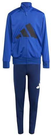 adidas Unisex Kinder ESSENTIALS BIG LOGO CLIMACOOL TRACKSUIT, team royal blue/black, 9-10 Years