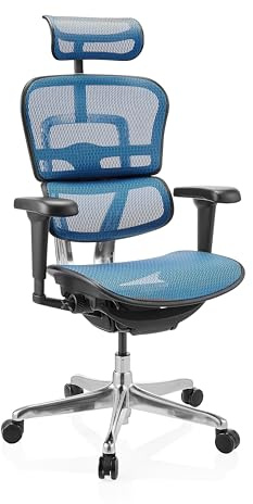 hjh OFFICE Bürostuhl ergonomisch ERGOHUMAN Ultra GEN2 Originales Design, Bürosessel mit Flexibler Lendenwirbelstütze, Netzbespannung, Blau