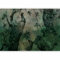 murando Photo Wallpaper Nature 490x350 / Peel and Stick Self-Adhesive Foil Print Wall Mural Botany Peacock Concrete Like Painted g-C-10030-a-a