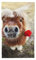 HDTVTV Pferd und Rose， Strapazierfähiges Waschlappen-Handtuch, Reise-Waschhandtuch, 40 x 70 cm