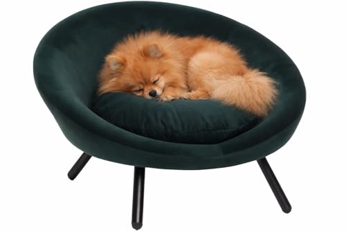 hundebett - katzenbett - Sofa - Dolco - rund - grün - 54 x 50 x 40 cm - Textil Holz Metall - für kleine Hunde und Katzen - herausnehmbares Kissen