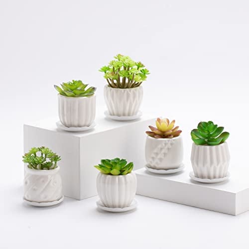 B SEPOR Lot de 6 pots de fleurs simples en porcelaine blanche pour petits pots de fleurs, cactus succulents avec drainage et soucoupe pour décoration de maison, bureau, cadeau (rayures blanches)
