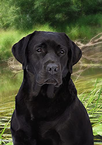 TAKKDWYZL DIY 5D Diamond Painting Set,Diamant Malerei Kits schwarzer Labrador Retriever Malen nach Zahlen Diamant, Diamant Painting Arts Craft für Home Wand Decor