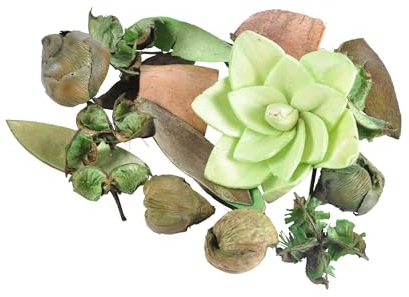 Homéa, Pot-Pourri 110G Parfum Pomme