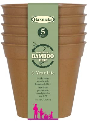 Haxnicks Pot160201 Lot de 5 Pots de Fleurs durables en Fibre de Bambou pour intérieur et extérieur 7,6 cm de diamètre Terre Cuite