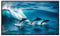 INMOZATA Foldable Projector Screen 100 Inch/203x152cm Wall & Ceiling Projector Screen with PVC Black Backing, 4:3 Aspect Ratio Matte White Screen for Home Cinema Theater School Office Outdoor Indoor