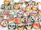beadsvision 50 Glas Cabochons 12mm Motiv Skull Totenkopf 12x4mm Glascabochons rund flach (Totenkopf #110)