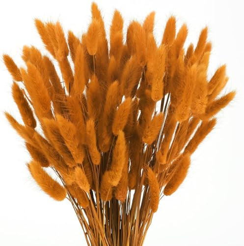 Minnhua 120 Stück Pampasgras Trockenblumen Deko Getrocknete Blumen Getrocknet Pampasgras Deko Pampas Gras Orange Schilfgras Pampasgra Blumenstrauß Flauschig für Wohnzimmer Hochzeit Tischdeko