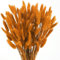Minnhua 120 Stück Pampasgras Trockenblumen Deko Getrocknete Blumen Getrocknet Pampasgras Deko Pampas Gras Orange Schilfgras Pampasgra Blumenstrauß Flauschig für Wohnzimmer Hochzeit Tischdeko