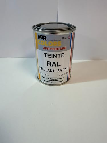 APR COLORS RAL PEINTURE POT DE 250 GR (6005 MAT 30%)