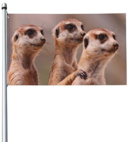 Flagge 3x5 Ft - Fahne Drei braune Erdmännchen - Flaggen Lustig 90x150 - Hissfahne mit Ösen - Hochwertige Polyester Wetterfeste Fahnen - Gartenflagge