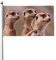 Flagge 3x5 Ft - Fahne Drei braune Erdmännchen - Flaggen Lustig 90x150 - Hissfahne mit Ösen - Hochwertige Polyester Wetterfeste Fahnen - Gartenflagge