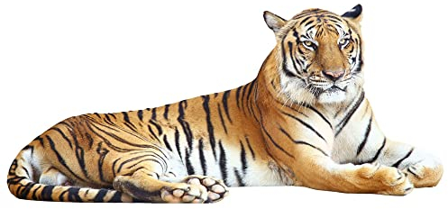 GRAZDesign Wandtattoo Tiger liegend | Wandaufkleber Afrika | Wandsticker Deko Aufkleber 3d - 109x50cm