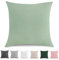 TOCOMOA Kissenbezug 40x40 cm 2er Set - 100% Gewaschene Baumwolle Kissenbezüge Oeko-TEX Zertifiziert, Leinenoptik und Atmungsaktiv Kissenhülle, Mint Grün Kopfkissenbezug mit Reißverschluss