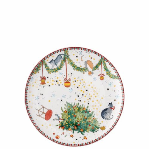 Hutschenreuther Plato llano de porcelana (22 cm), multicolor