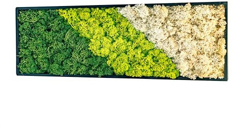 LivuX Natur Moosbild 60x20 cm, Grün, mit Haken für Hoch- und Querformat-Aufhängung – Wandbild, Wandkunst aus Naturmaterialien 1116