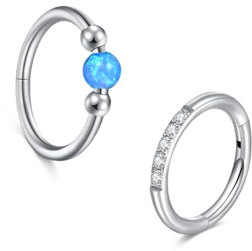 Briana Williams 4 Stück Septum Clicker Nasenring Lippe 16G Edelstahl 8mm Segment Helix Tragus Piercing CZ