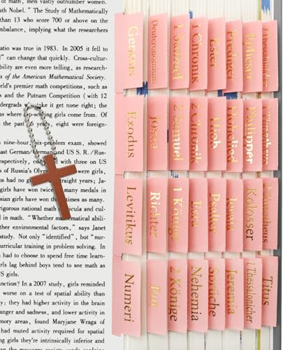 VANRA Registro biblico per donne, studio, Bibbia, Journaling, Accessori, grande stampa, 96 schede, studio vecchio e nuovo Testamento, con cavalieri biblici laminati vuoti, rosa