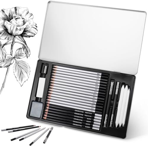 JIANTA Juego 29 lapices de dibujo, kit dibujo 6 lápices de carboncillo 15 lapices de grafito, 2 extensores, estuche metálico para niños adultos principiantes profesionales (4H-10B)