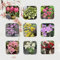 60 Pc Semi Resistenti Di Piante Di Azalea - Semi Di Rododendro, Albero Bonsai, Regali Sostenibili, Arbusti Resistenti Semi Dell'Albero Dei Bonsai Dell'Azalea, Piante Verdi, Decorazioni