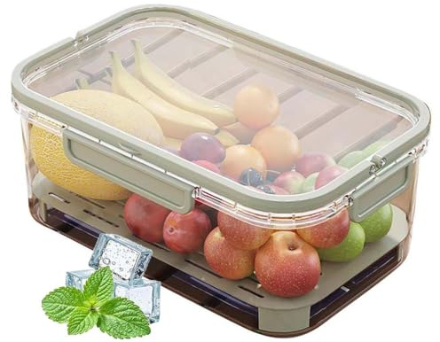 LUCKKY Outdoor Ice Preservation Box, Tragbarer Snackbox-Behälter mit Kühlakku, Zweilagig Tragbare Küche Kühlschrank-Aufbewahrungsbox, Snackteller mit Deckel und Griff für Party, Picknick (Grün)