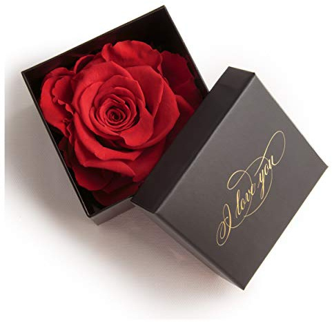 ROSEMARIE SCHULZ Verlobung mit Infinity Baccarat Rose haltbar 3 Jahre und Goldschrift I LOVE YOU Geschenk für Frauen Schmuck Box Liebesbeweis Heiratsantrag (1 Rose, Schwarz-Rot)