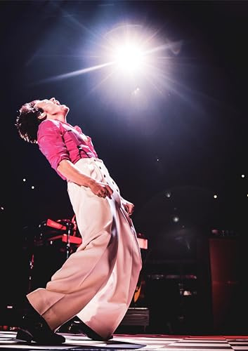 Harry Styles Love On Tour Addore You Classic Fine Line Home Decor Print Poster Wall Art Picture A4