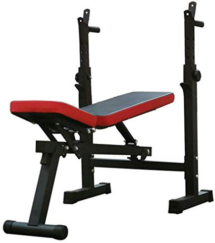 CGCSYZ Verstellbare Hantelbank, mit Gestell, verstellbar für Ganzkörpertraining und Heim-Fitnessstudio-Übungen, Fitness-Bank-Kraftgewichte-Gerät ohne Langhantel