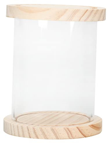 Ciieeo Aufbewahrungskiste Modell Vitrine Kuppel Vitrine Minifiguren Vitrine Für Sammlerstücke Für Puppenmodelle Vitrinen Für Figuren Modell-displayhalter Hölzern