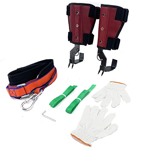 Lfhelper Baumklettern Ausrüstung, Baumklettern Spike Set, 250kg/551lb Belastung, Klettern Bäume Artefakt, Climbing Spike Set, Baumkletter Werkzeug Steigeisen mit Sicherheitsgurte für Obsternte, Jagd