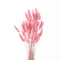 FENGCHUANG Pampasgras Getrocknet Trockenblumen, 45cm 50 Stück Getrocknete Natürliche Pampasgras Pflanzen Flauschige Trockenblumen (Rosa)