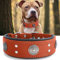 Leder-Hundehalsband, 5,1 cm breit, strapazierfähig, echtes Leder, handgefertigt, weich und luxuriös, ein Blickfang, beste Wahl für große und mittelgroße Hunde, Orange, 57,1–67,3 cm