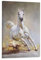 Pferde-Poster, dekoratives Gemälde, Leinwand, Wandposter und Kunstbild, modernes Familien-Schlafzimmer, Deko-Poster, 50 x 75 cm, Pferd, Leinwand, Kunst, Poster, modernes Büro, Familienbett