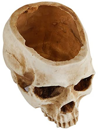 KONTONTY 1pc Vintage Harz Schädel Blumentopf Pflanzer Für Home Bar Büro Halloween Decor