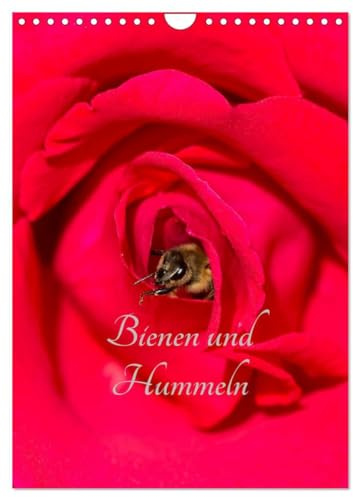 Bienen und Hummeln (Wandkalender 2026 DIN A4 hoch), CALVENDO Monatskalender: Bienen und Hummeln für das ganze Jahr (CALVENDO Tiere)