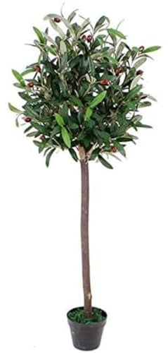 Leaf Design UK Künstlicher Oliven-Formschnitt-Obstbaum, Kunststoff, 120 cm, Schwarz