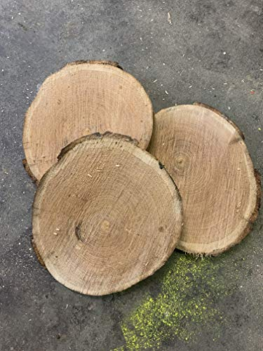 KJR Holzmanufaktur 3 Baumscheiben, Holzscheibe,ca.30x3 cm, Roteiche