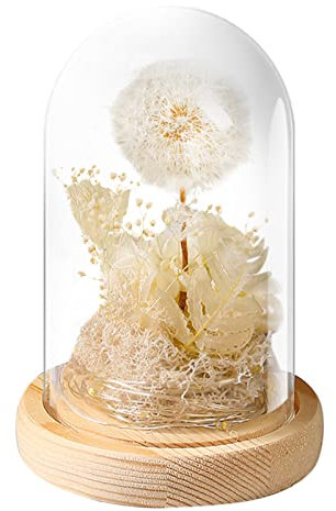 Feelcrag Valentines Day Rose Gifts Ideas Valentines Rose Flowers Birthday Gifts for Women 50Th Birthday Gifts Valentines Day Decorations Fresh Flowers Birthday Presents for Mum