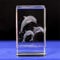 CRYSTAL GLASS DOLPHIN ORNAMENTS - 3D Laser Etched Crystal Dolphin Figurine Art, Animal Crystal Glass Cube Engraving, Gift Box Included (40 * 40 * 60mm)