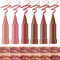 2 in 1 Lip Liner and Lippenstift Set,Matt Rot Nude Velvet Wasserfester Langanhaltender Lippenstift Wischfest für Frauen 6Pcs